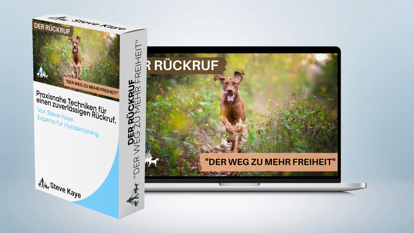 Komplettpaket: Rundum-Sorglos