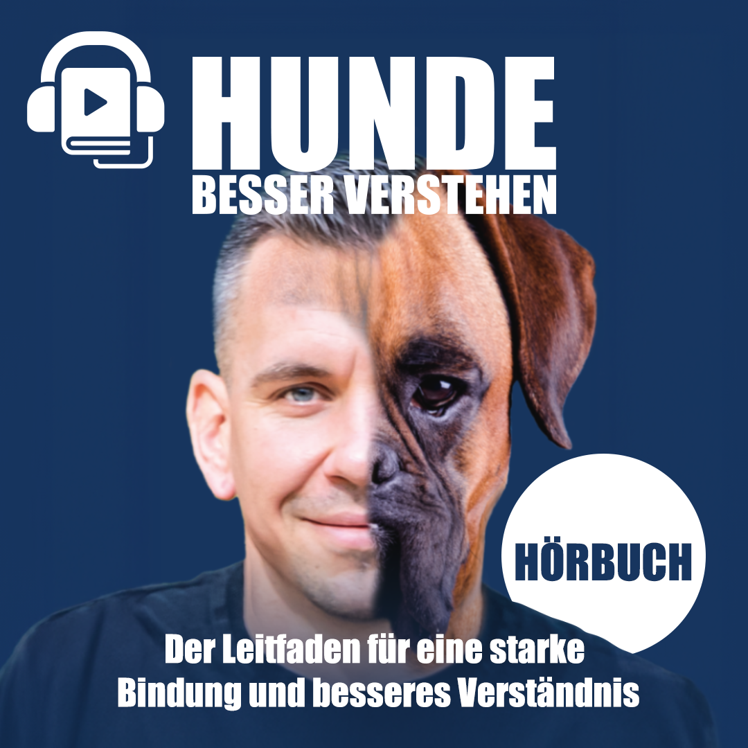 Komplettpaket: Rundum-Sorglos