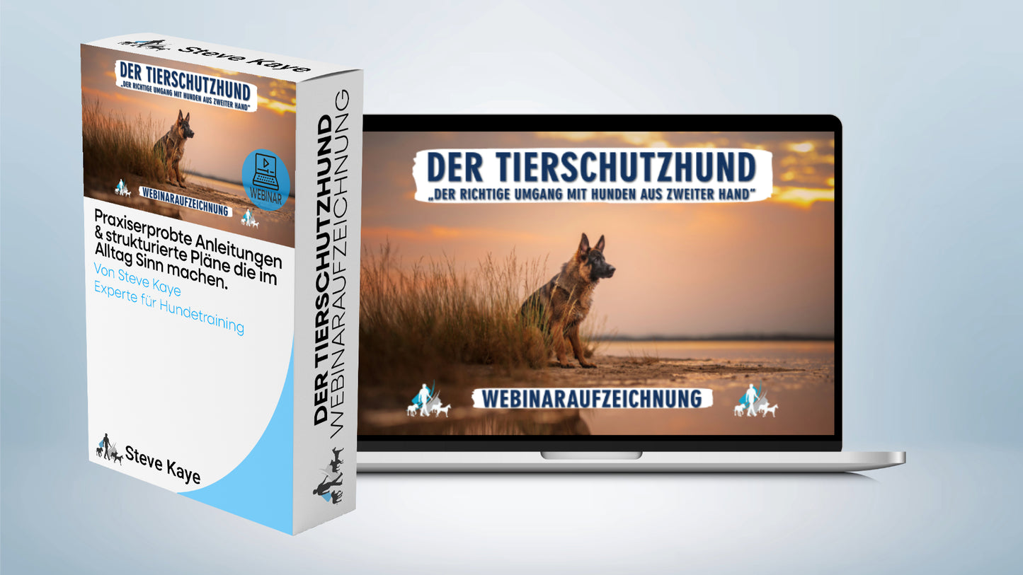 Komplettpaket: Rundum-Sorglos