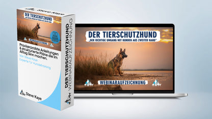 Komplettpaket: Rundum-Sorglos