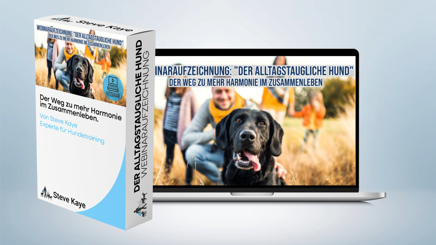 Trainings-Paket: Der alltagstaugliche Hund