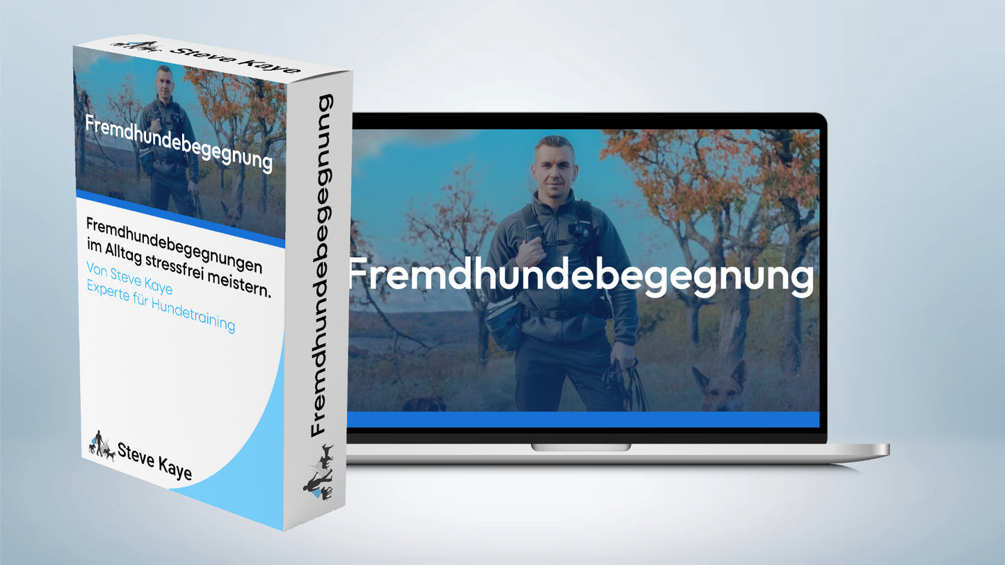 Trainings-Paket: Fremdhundebegegnung