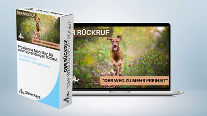 Komplettpaket: Rundum-Sorglos