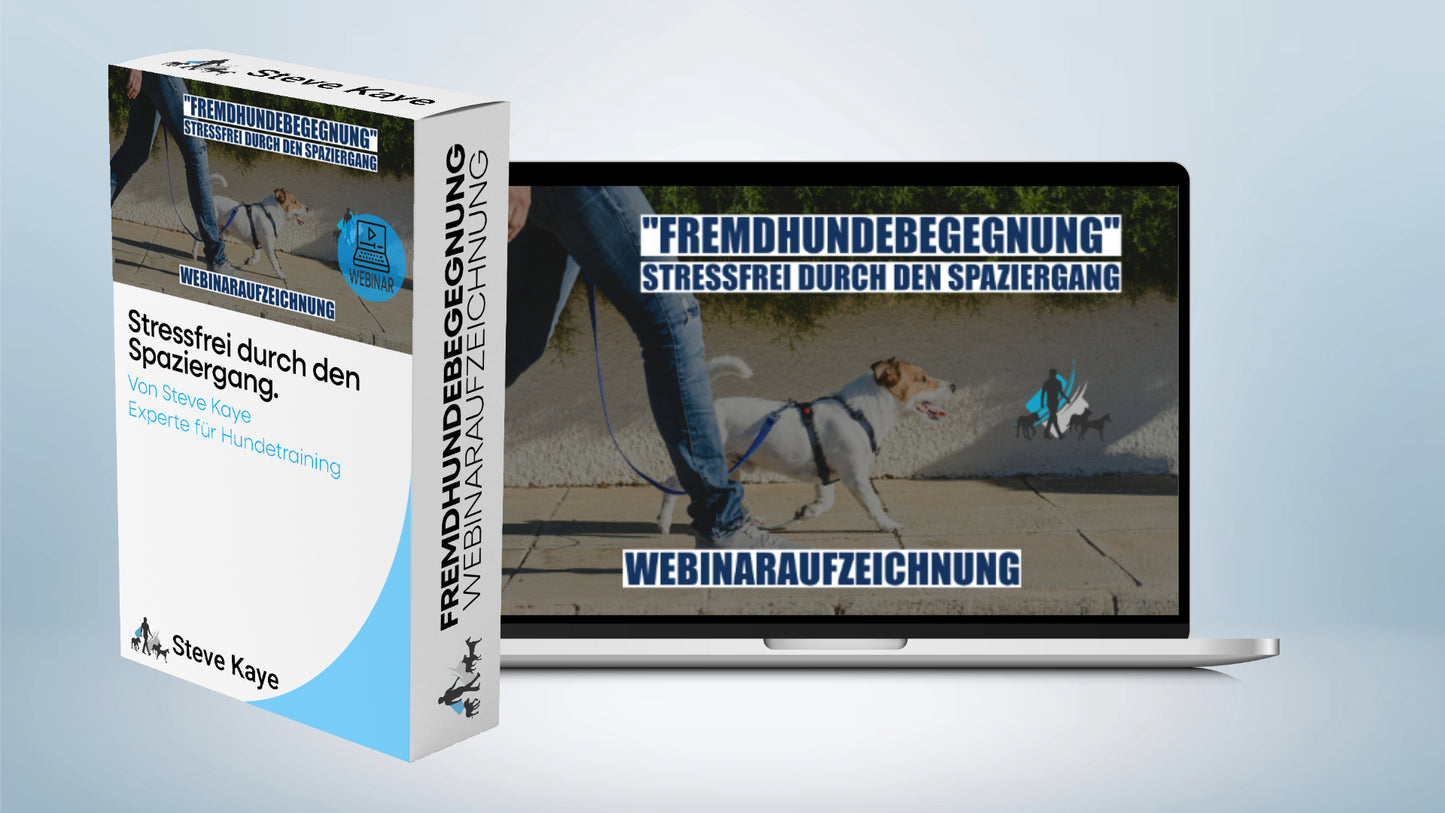 Trainings-Paket: Fremdhundebegegnung