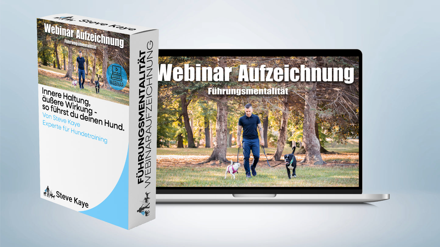 Trainings-Paket: Führungsmentalität