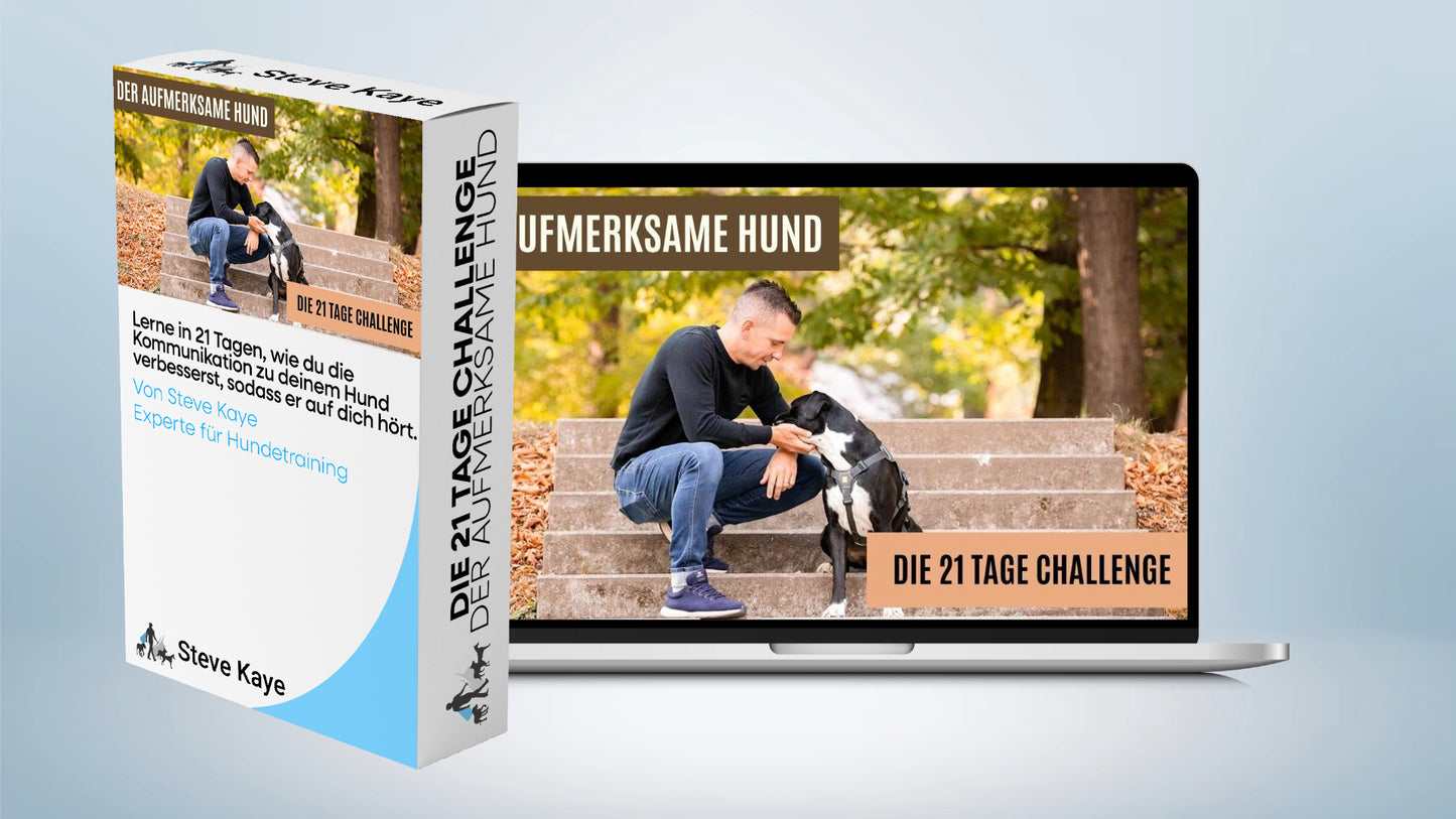 Trainings-Paket: Der alltagstaugliche Hund