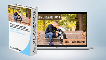 Komplettpaket: Rundum-Sorglos