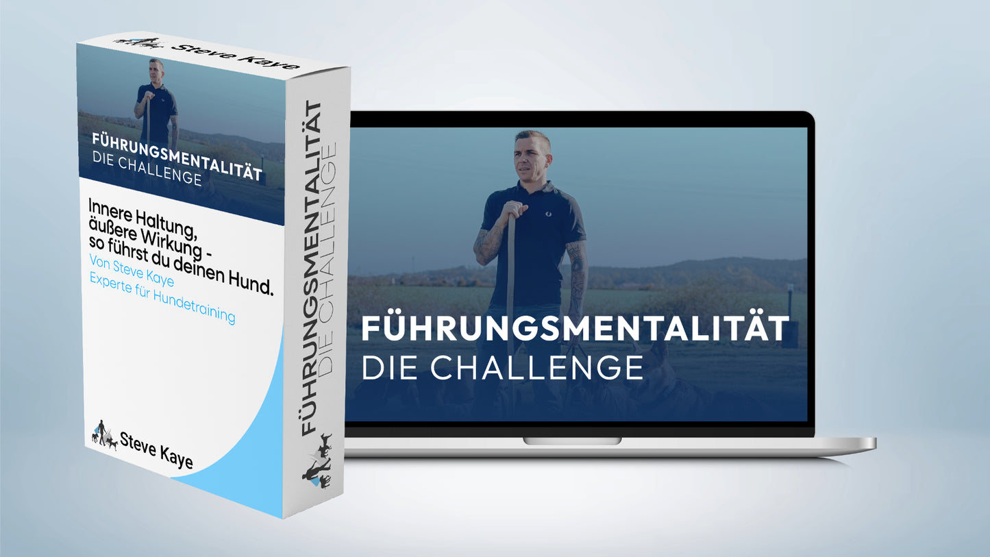 Trainings-Paket: Führungsmentalität