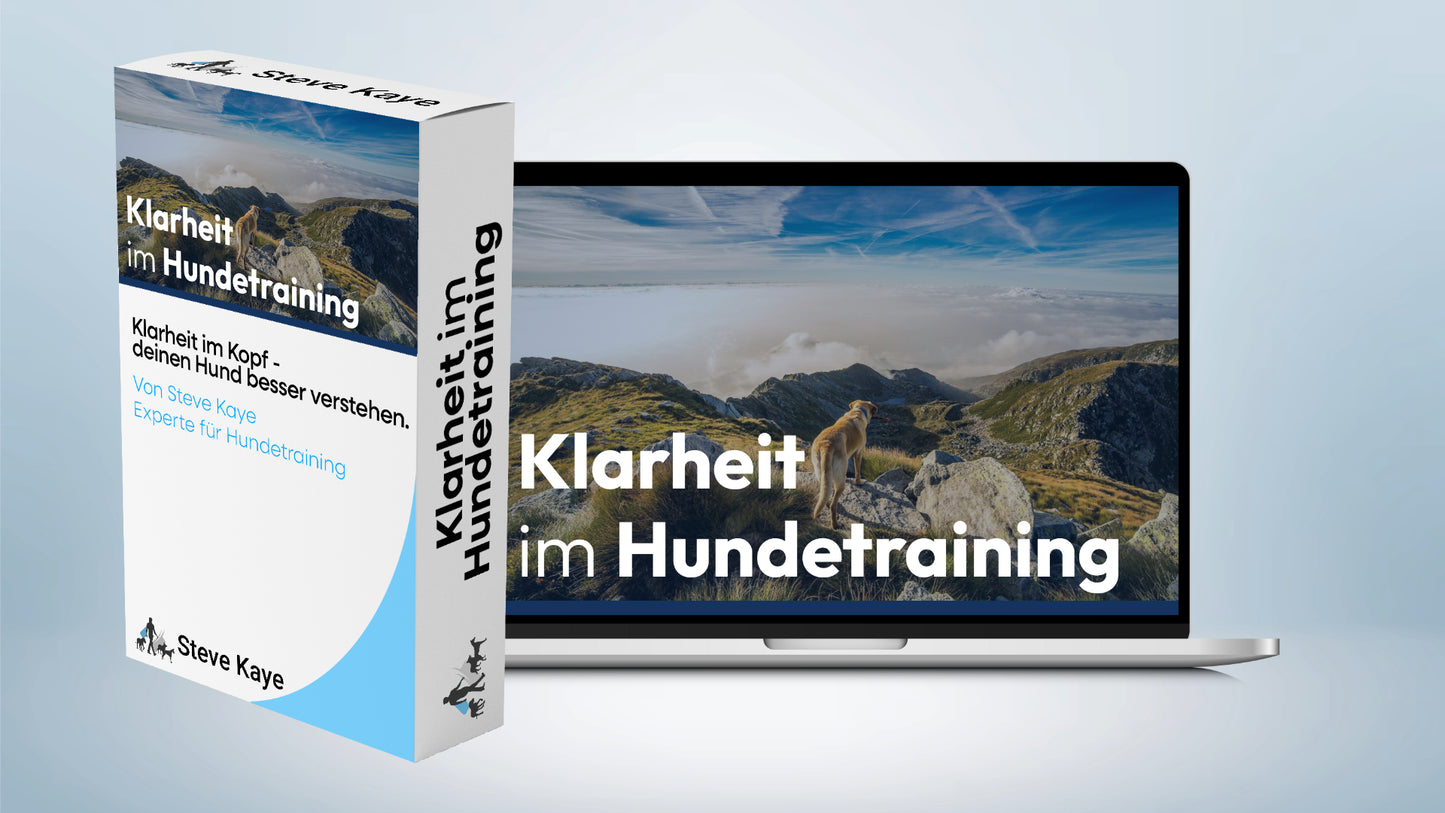 Trainings-Paket: Der alltagstaugliche Hund