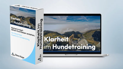 Komplettpaket: Rundum-Sorglos