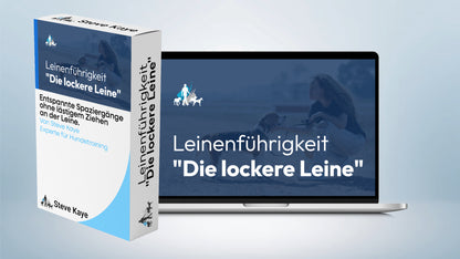 Komplettpaket: Rundum-Sorglos