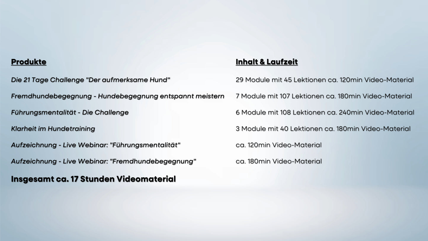 Trainings-Paket: Fremdhundebegegnung