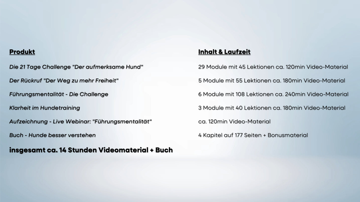 Trainings-Paket: Führungsmentalität