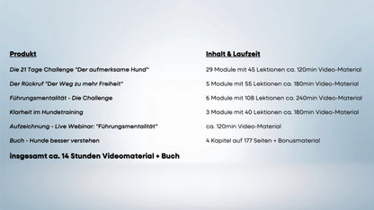 Trainings-Paket: Führungsmentalität