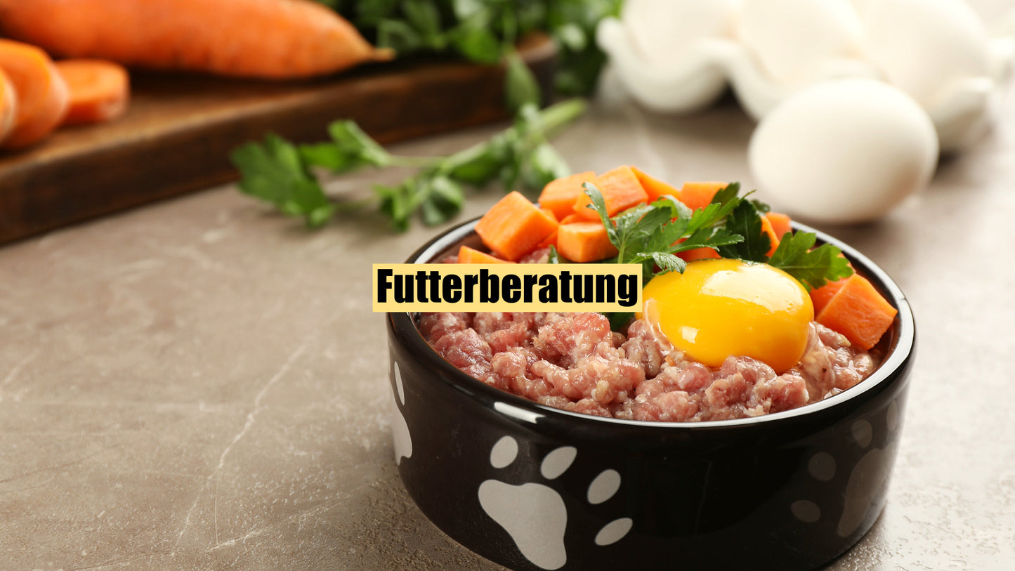 Futterberatung