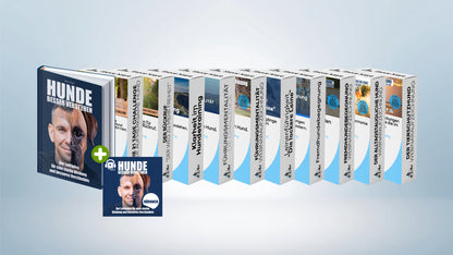 Komplettpaket: Rundum-Sorglos