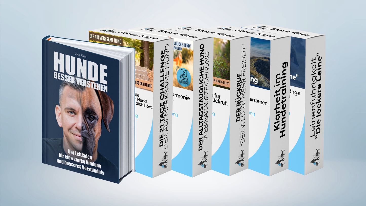 Trainings-Paket: Der alltagstaugliche Hund