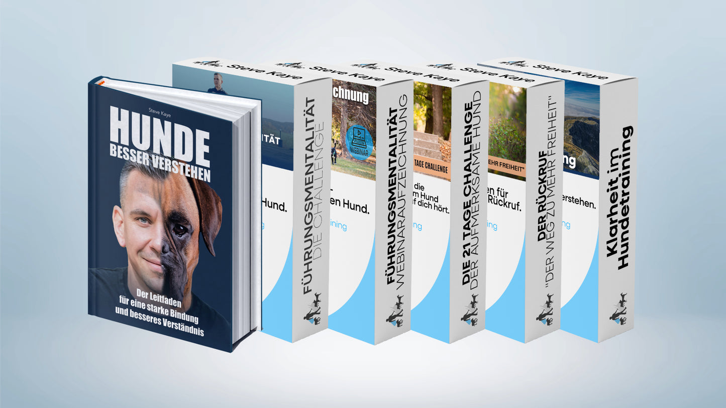 Trainings-Paket: Führungsmentalität