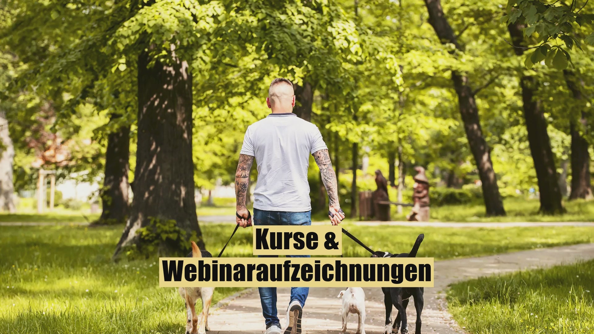 Video laden: 