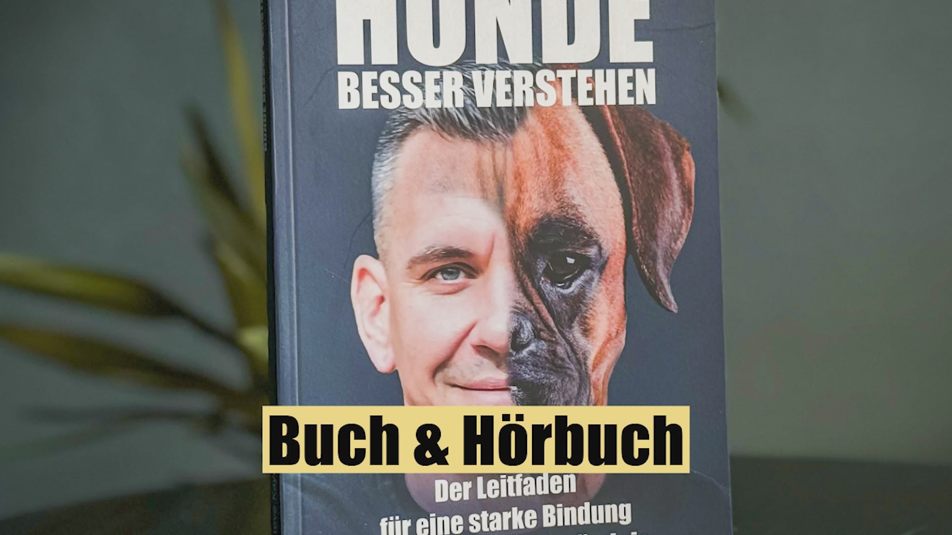 Video laden: 